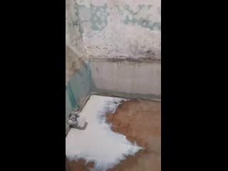 Vid 20200612 071516 mp4