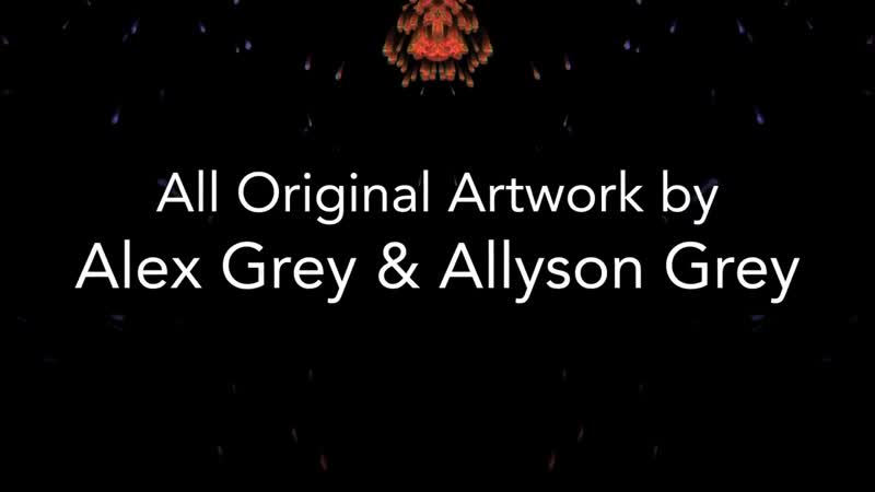 Tipper ambient set @ cosm alex grey art hd