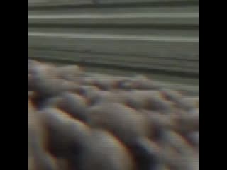 Vid 20200825 132026 285 mp4