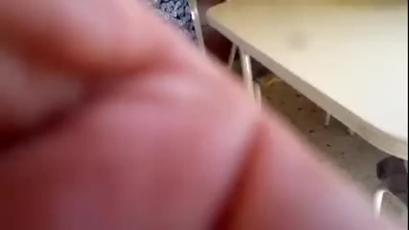 Ебу перване на кухне