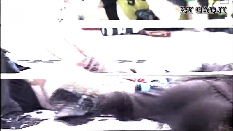 Mirko crocop filipovich vs wanderlei silva by gadji