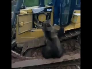 В русской глубинке