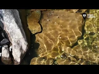 Live правый монитор