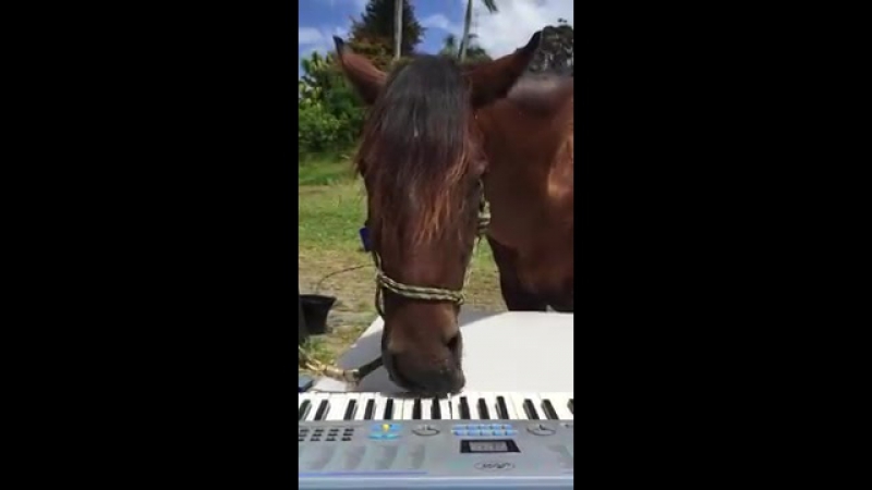 Прирожденный артист!