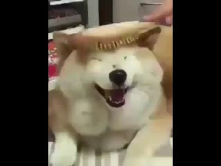 Yoongi, bodyguard by porn ⁺¹⁸