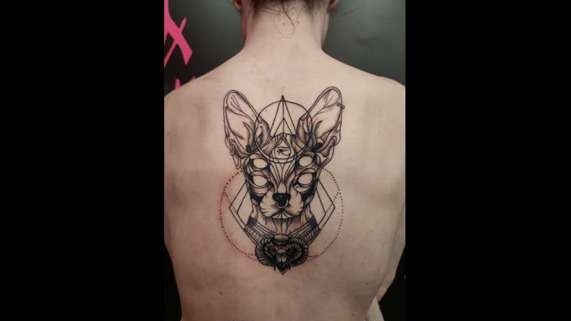 Таймлапс сфинкс