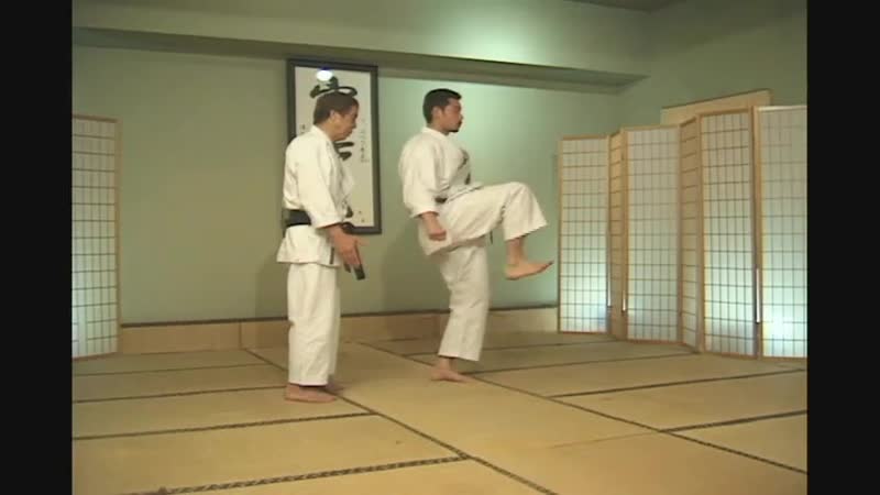 Hirokazu kanazawa mastering karate part 2 ashi waza