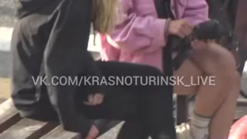 Видео не для слабонервных в краснотурьинске две школьницы издеваются над голубем, ради фотографий для соцсетей