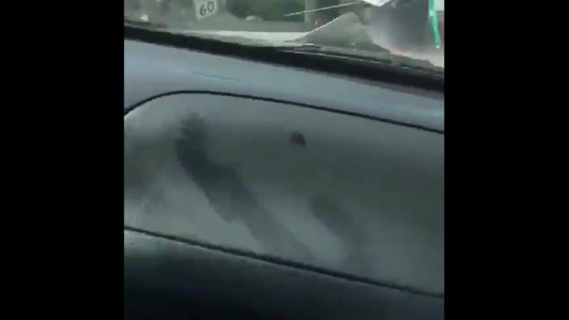 Предупреждали же тупая сука