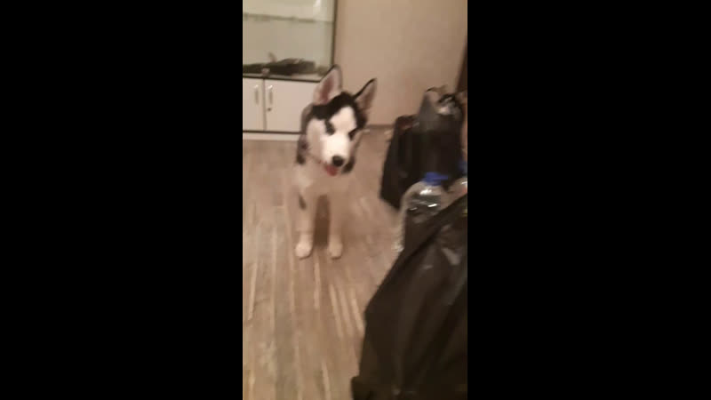 Распакоа всякой химозы