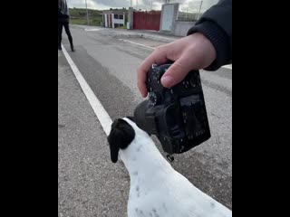 Porn koalitic 20200427 2 mp4