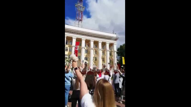 Праўду каля ант