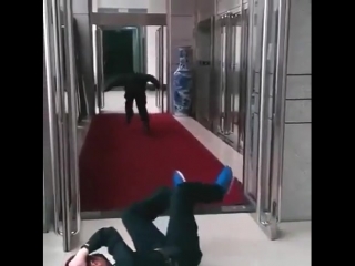 Проверка напарника (vhs video)