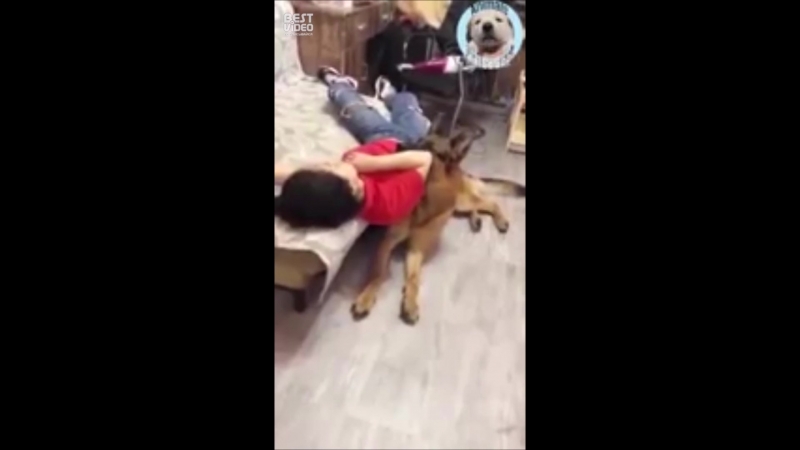 Лучший друг всегда поддержит