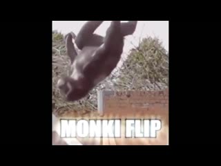 Monki flex (8)