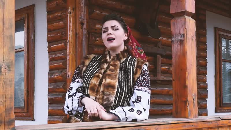 Laura erhan vai, bărbaților (new 2019)