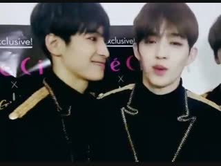 The way wonwoo was looking at seungcheol i swear to god this dork