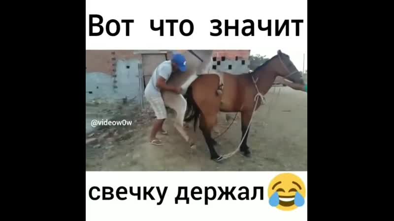 Whatsaper ru свечку держал mp4