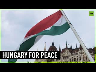 Hungary calls for immediate ceasefire in ukraine