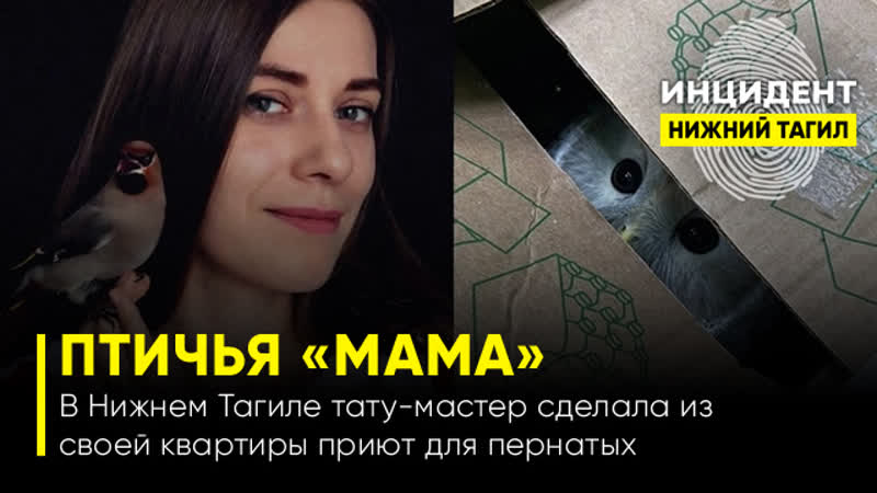 Птичья «мама» в нижнем тагиле тату мастер сделала из своей квартиры приют для пернатых
