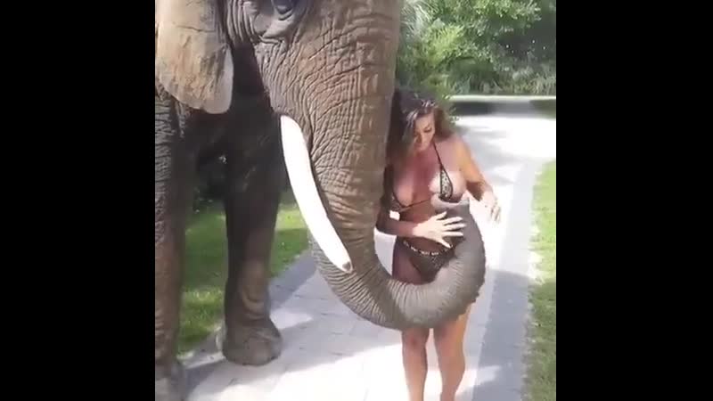 мотри самое гор¤чее порно слон женщина секс бесплатно - OyOh