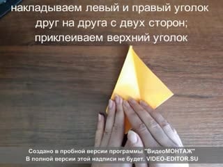 Городкова алёна студентка 1 курса хгф зайка подстаа