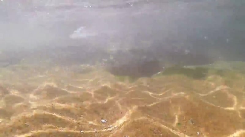 Maria tight slalom/85мм;11 6 г