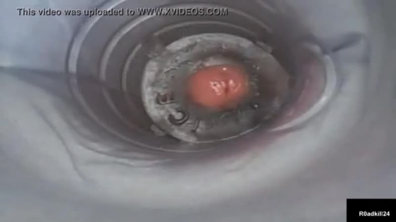 Crempie porn video – Порноприкол паук выебал тёлку и кончил внутрь porn funny, spider porn, milf, vintage retro, sex, crempie, cum inside