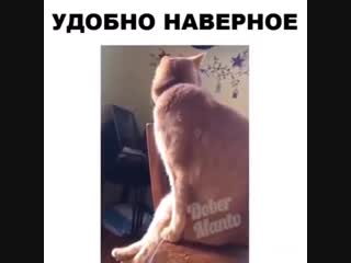 Хорошо сидим