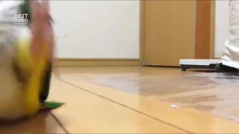 Когда заказал пиццу и ждёшь курьера