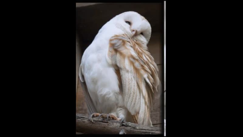 Запомни надо себя беречь