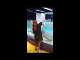 150730 live on periscope 씨스타 소유 soyou [18 seconds 18초]