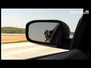 Иди на хуй!уебок!пидр!гандон!еблан!залупа!хуйло!