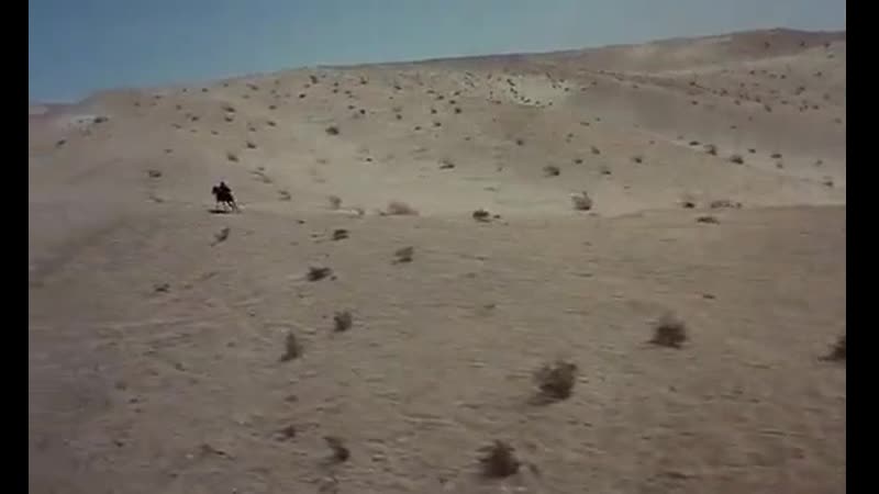 Ильза хранительница гарема нефтяного шейха 1976 канада