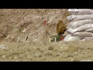 Молодые разных типов мин в замедленной съемке