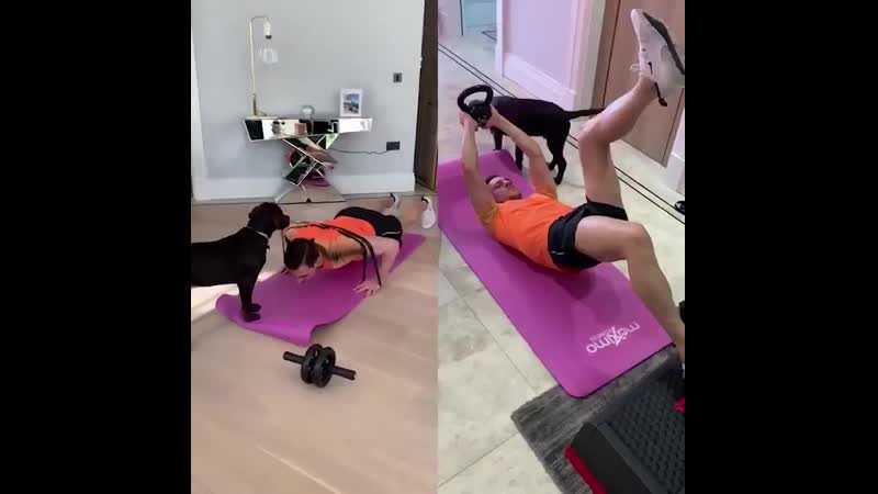 Shape porn video – Staying in shape with the help of a home workout with my buddy romeu! workout homegym romeu stayathome fitness motivation