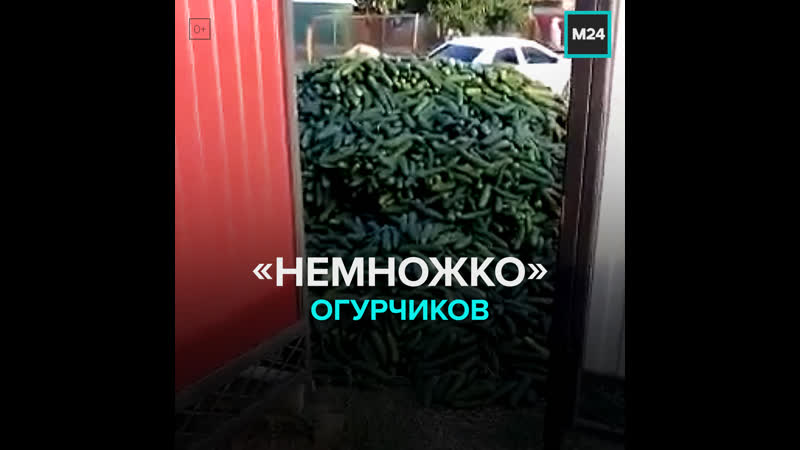 Когда попросил соседа привезти немного огурчиков москва 24
