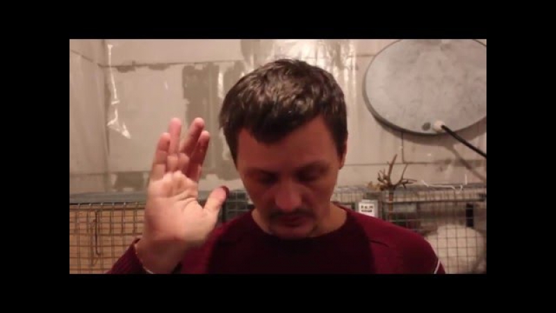 Как получить землю для фермерского хозяйства кфх