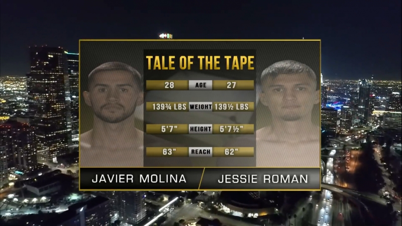 Javier molina vs jessie roman (hd 1080)