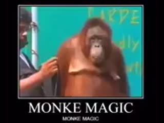 Monke magik