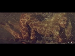 Златаслава горько (uncensored)