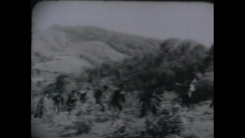 (озвучка) пылающие джунгли (1964, северный вьетнам, военная драма)