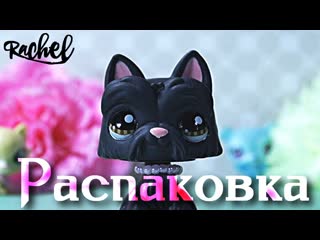 Lps распакоа #12 (подарок от подписчицы)