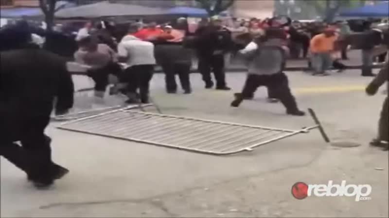 Niggers porn video – I porn fucking niggers