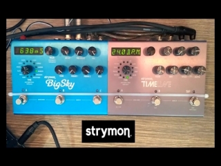 Strymon timeline reverse oscillation