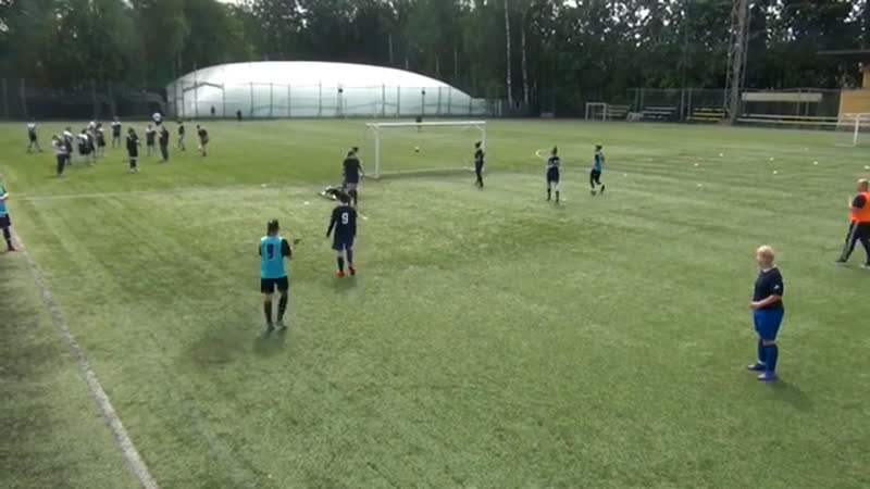 Грифон дарина китайкина