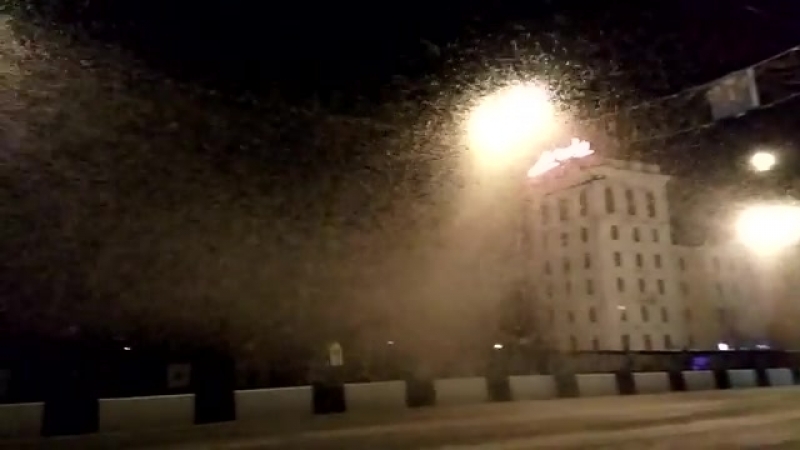 Масштабное нашествие