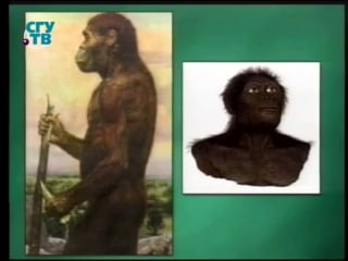 Биология урок 4 от человека умелого к человеку прямоходящему