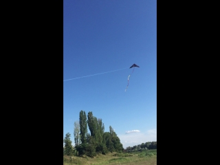 Hq invento whizz power kite /uzhgorod/ kite provided by