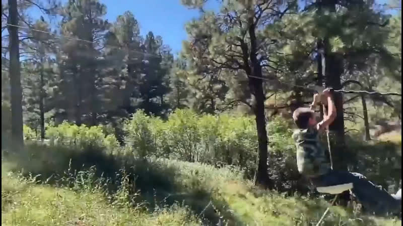 Это увлекательный был, атракцион